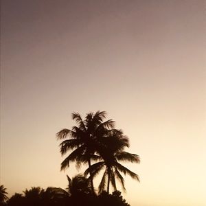 Meet your Posher, Maya